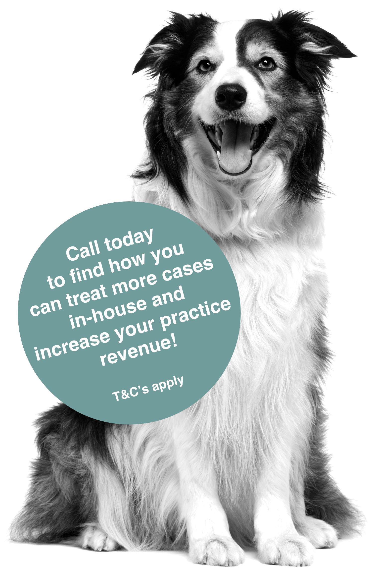 Save £££ on veterinary procedures